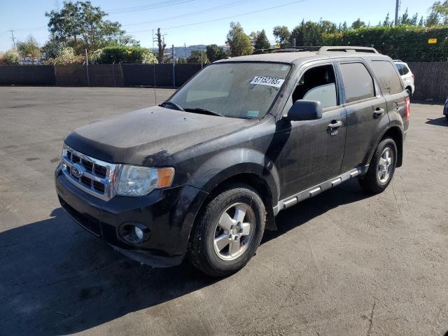 FORD ESCAPE XLT 2011 with VIN 1FMCU0D79BKB55903 - Photo from auction