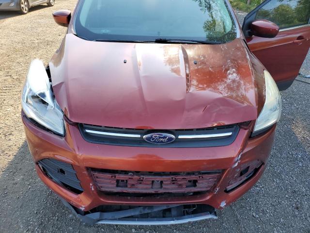 Photo 12 from auction – 2015 FORD ESCAPE SE with VIN 1FMCU0GX9FUA01522