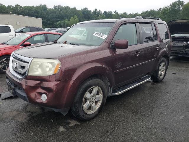 HONDA PILOT EXL 2009 with VIN 5FNYF48539B053394 - Photo from auction