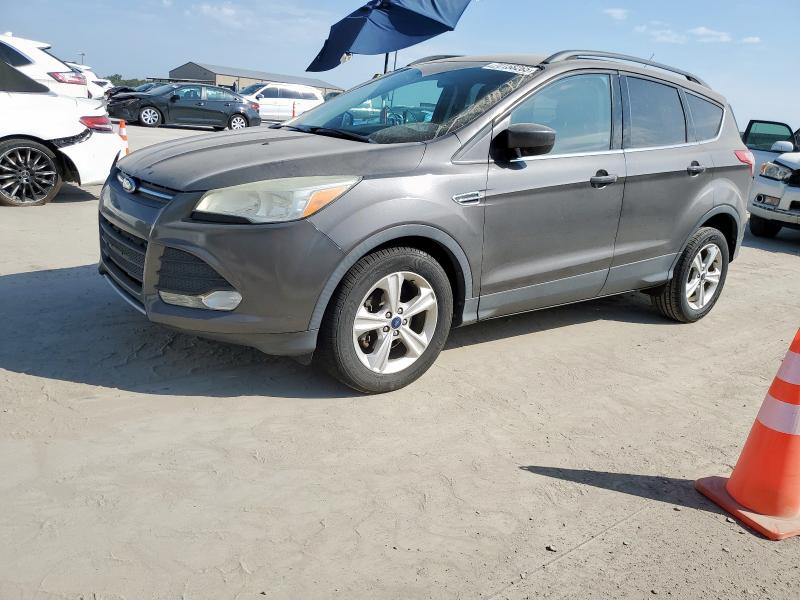 FORD ESCAPE SE 2014 with VIN 1FMCU0GX7EUA76685 - Photo from auction