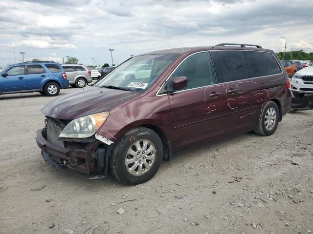 HONDA ODYSSEY EX 2009 with VIN 5FNRL38469B003877 - Photo from auction