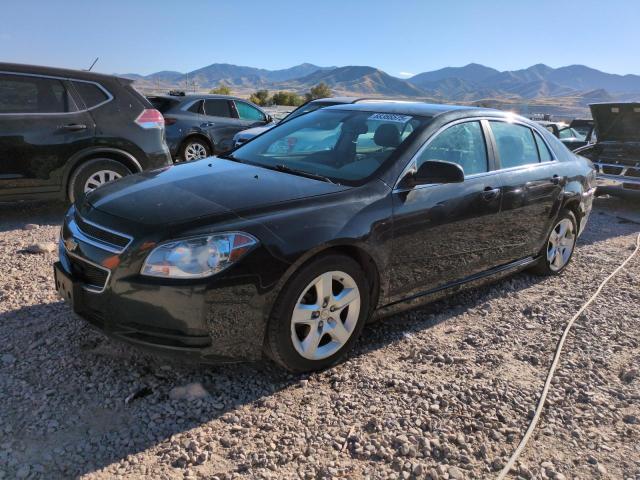 CHEVROLET MALIBU LS 2011 with VIN 1G1ZB5E16BF335952 - Photo from auction