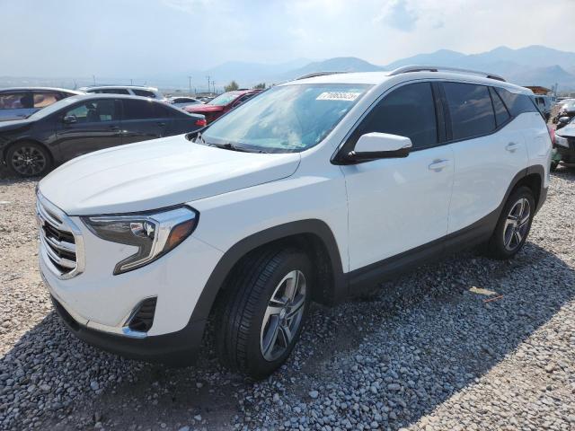 GMC TERRAIN SL 2020 with VIN 3GKALVEV8LL276306 - Photo from auction