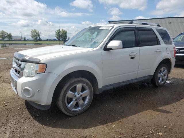 FORD ESCAPE LIM 2010 with VIN 1FMCU9E78AKC02064 - Photo from auction