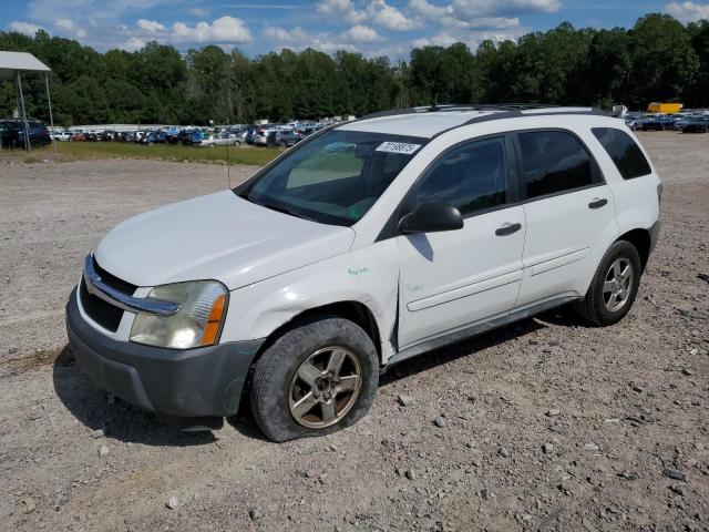 CHEVROLET EQUINOX LS 2005 with VIN 2CNDL13F756013854 - Photo from auction