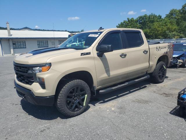 CHEVROLET SILVERADO 2022 with VIN 3GCPDCED5NG557585 - Photo from auction