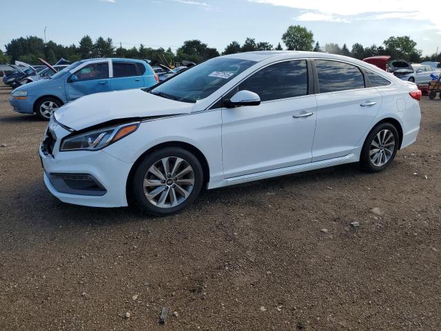 HYUNDAI SONATA SPO 2016 with VIN 5NPE34AFXGH423284 - Photo from auction
