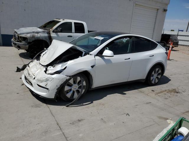 TESLA MODEL Y 2021 with VIN 5YJYGAEE9MF172897 - Photo from auction