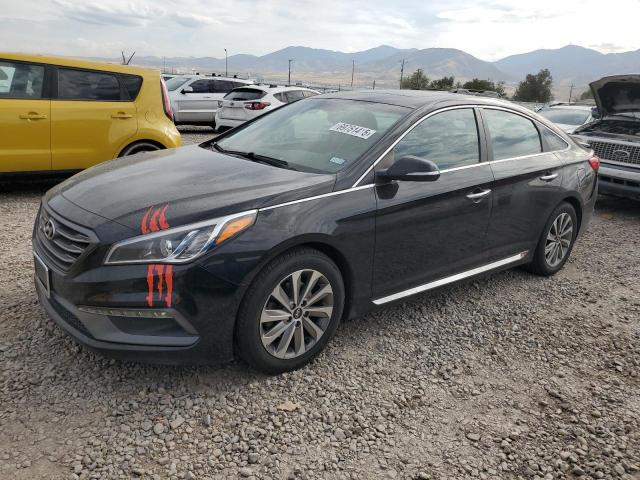 HYUNDAI SONATA SPO 2017 with VIN 5NPE34AF6HH536649 - Photo from auction