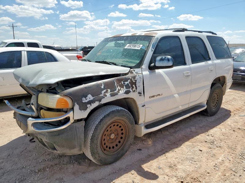 GMC DENALI 2001 with VIN 1GKEK63U11J239459 - Photo from auction