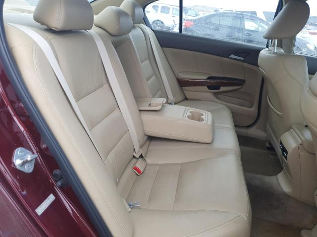 Photo 10 from auction – 2010 HONDA ACCORD EXL with VIN 1HGCP2F86AA059083