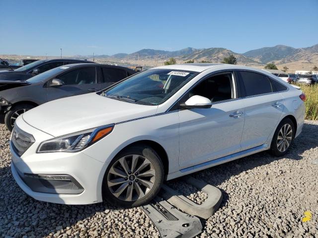 Photo 1 from auction – 2016 HYUNDAI SONATA SPO with VIN 5NPE34AF6GH355341
