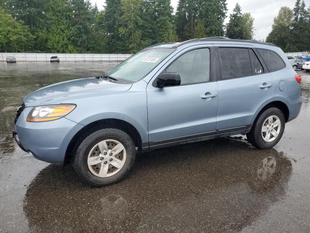 HYUNDAI SANTA FE G 2009 with VIN 5NMSG73D19H319724 - Photo from auction