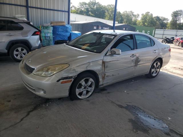 LEXUS ES 330 2005 with VIN JTHBA30G055087055 - Photo from auction