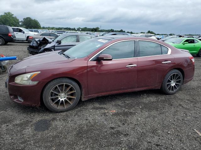 NISSAN MAXIMA S 2010 with VIN 1N4AA5AP9AC855246 - Photo from auction