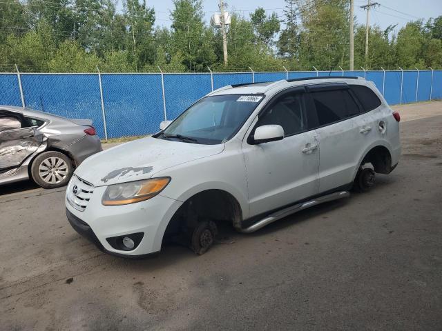HYUNDAI SANTA FE G 2010 with VIN 5NMSG4AG7AH405524 - Photo from auction