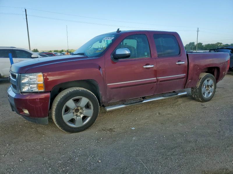 CHEVROLET SILVERADO 2009 with VIN 3GCEC23009G182277 - Photo from auction