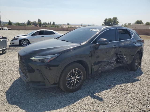 LEXUS NX 250 2023 with VIN 2T2ADCEZ4PC003013 - Photo from auction