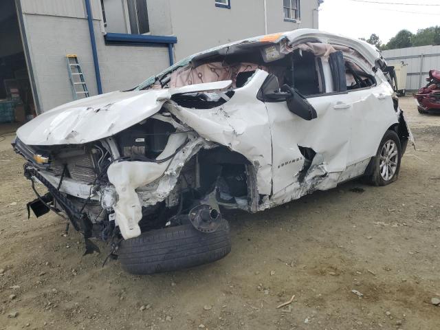CHEVROLET EQUINOX LS 2019 with VIN 3GNAXSEVXKS555394 - Photo from auction