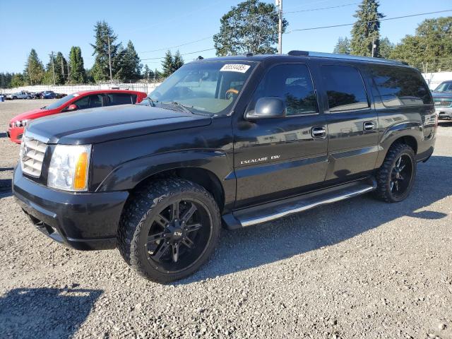CADI ESCALADE ESV 2003 with VIN 3GYFK66N43G335489 - Photo from auction