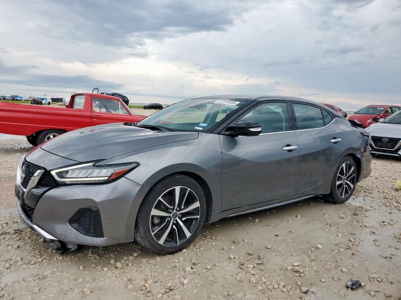 NISSAN MAXIMA SV 2023 with VIN 1N4AA6CV8PC508677 - Photo from auction