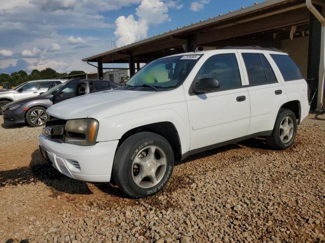 CHEVROLET TRAILBLAZE 2006 with VIN 1GNDS13S362357885 - Photo from auction
