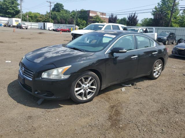 NISSAN MAXIMA S 2010 with VIN 1N4AA5AP9AC831495 - Photo from auction