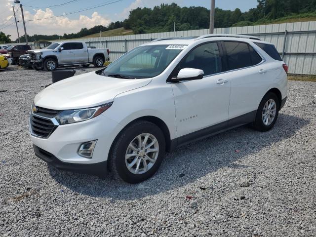 CHEVROLET EQUINOX LT 2018 with VIN 2GNAXJEV7J6343463 - Photo from auction