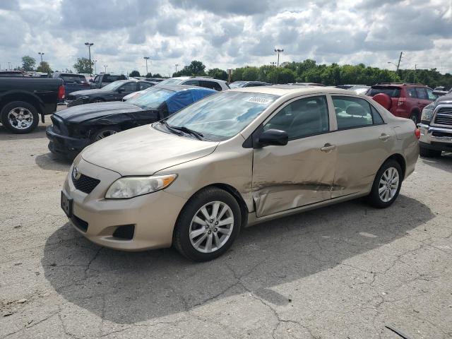 TOYOTA COROLLA BA 2010 with VIN 2T1BU4EE3AC395100 - Photo from auction