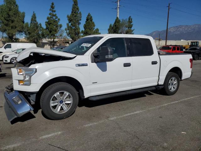 FORD F150 2017 with VIN 1FTEW1CP5HKC87970 - Photo from auction