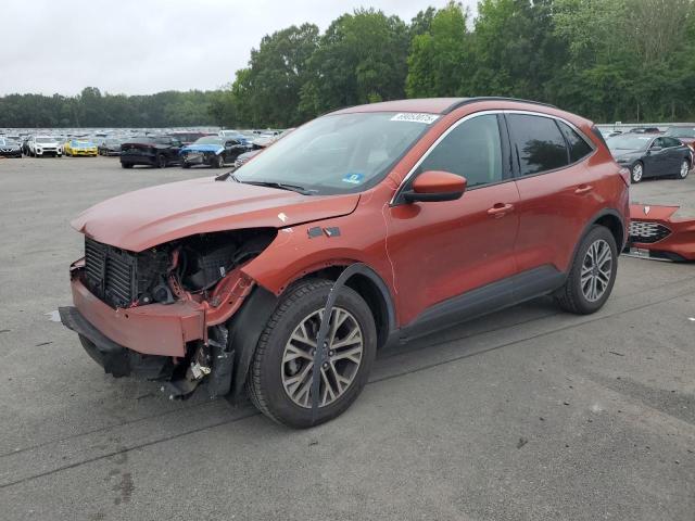 FORD ESCAPE SEL 2020 with VIN 1FMCU9H63LUA81146 - Photo from auction
