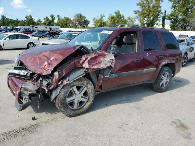 CHEVROLET TRAILBLAZER LS 2004 with VIN 1GNDT13S542446593 - Photo from auction