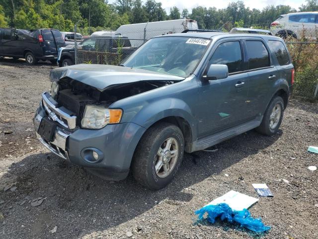 FORD ESCAPE LIM 2011 with VIN 1FMCU9EG3BKB01659 - Photo from auction