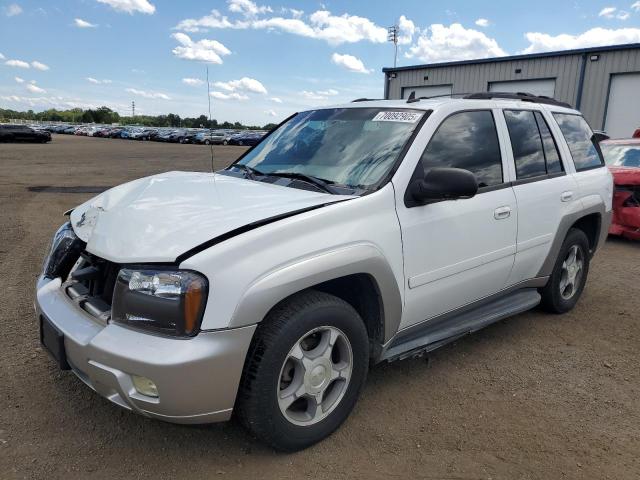 CHEVROLET TRAILBLAZER LS 2006 with VIN 1GNDT13S762165639 - Photo from auction
