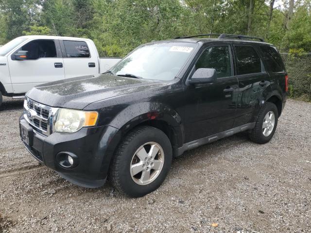 FORD ESCAPE XLT 2011 with VIN 1FMCU0D73BKA58597 - Photo from auction