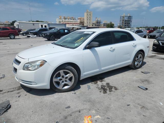 CHEVROLET MALIBU LS 2010 with VIN 1G1ZA5E03AF253749 - Photo from auction