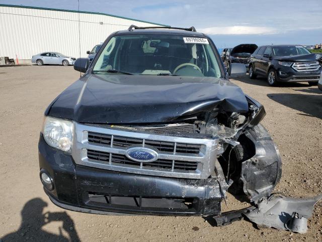 Photo 5 from auction – 2009 FORD ESCAPE XLT with VIN 1FMCU93G99KC08681