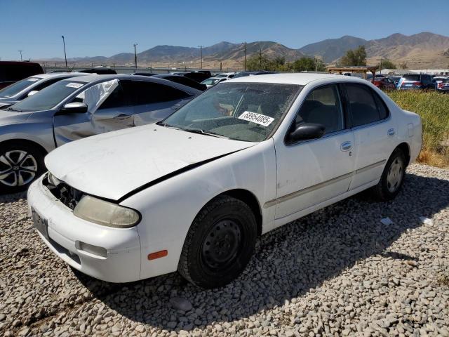 NISSAN ALTIMA XE 1997 with VIN 1N4BU31D2VC282055 - Photo from auction