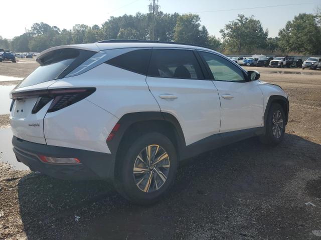 Photo 3 from auction – 2023 HYUNDAI TUCSON BLU with VIN KM8JBCA11PU101974
