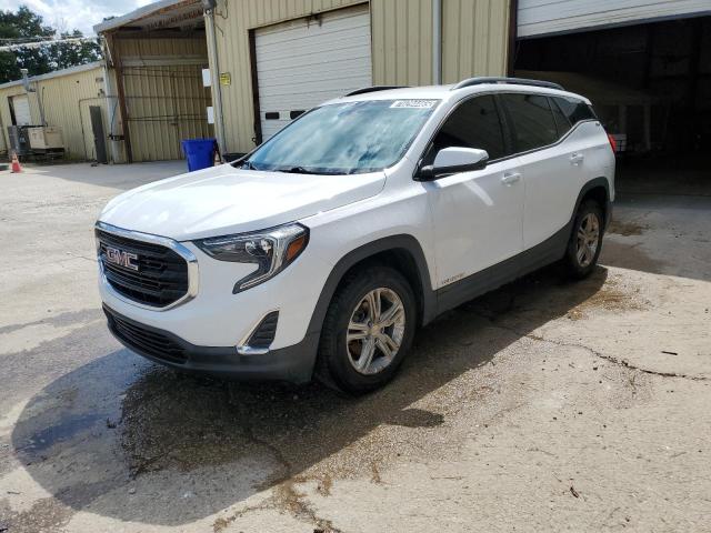 GMC TERRAIN SL 2020 with VIN 3GKALMEV9LL143659 - Photo from auction