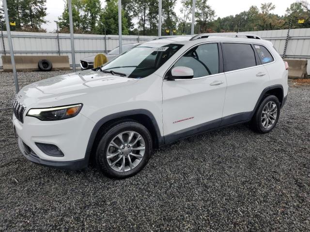 JEEP CHEROKEE L 2019 with VIN 1C4PJLLB9KD241125 - Photo from auction