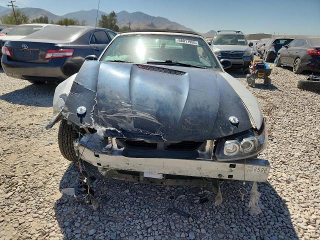 Photo 5 from auction – 2000 FORD MUSTANG with VIN 1FAFP4443YF198775