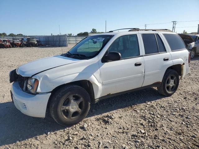 Photo 1 from auction – 2007 CHEVROLET TRAILBLAZE with VIN 1GNDT13S272269814