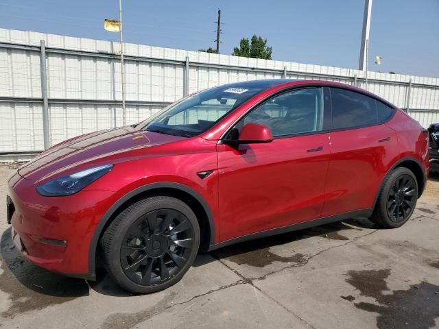 TESLA MODEL Y 2025 with VIN 7SAYGDEE3SF303243 - Photo from auction