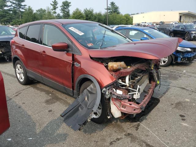 Photo 4 from auction – 2014 FORD ESCAPE SE with VIN 1FMCU0G92EUD05257