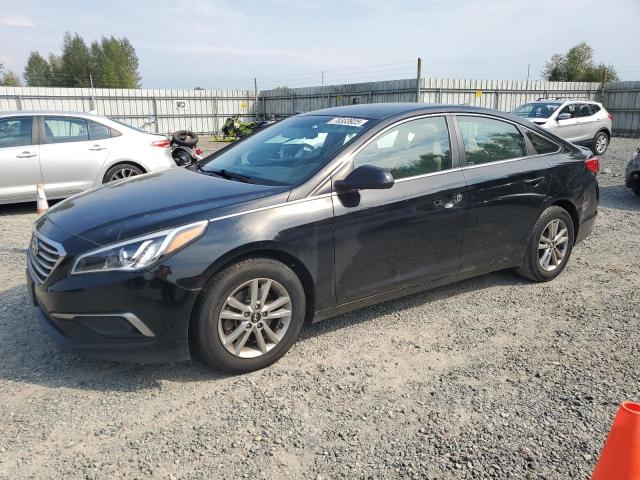 HYUNDAI SONATA SE 2016 with VIN 5NPE24AF7GH315899 - Photo from auction