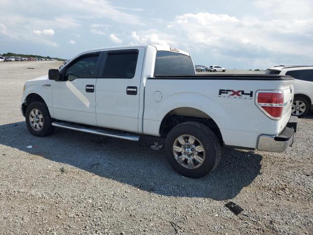 Photo 2 from auction – 2010 FORD F150 SUPERCREW with VIN 1FTFW1EV0AKE52829