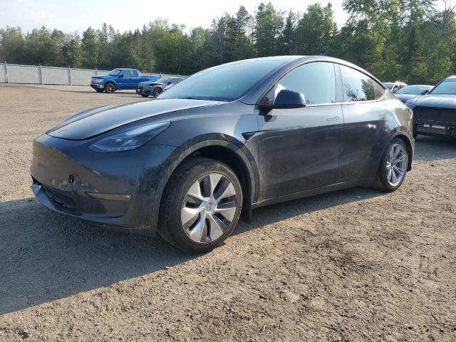TESLA MODEL Y 2024 with VIN 7SAYGDEE9RF079616 - Photo from auction