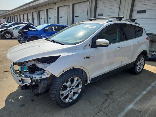 FORD ESCAPE TIT 2014 with VIN 1FMCU0J95EUA39175 - Photo from auction