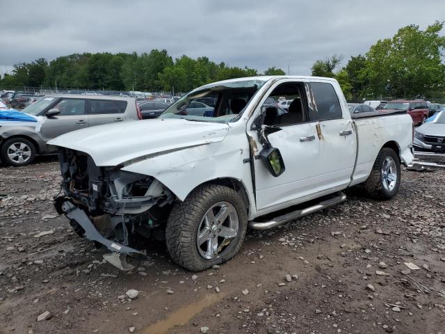 DODGE RAM 1500 2010 with VIN 1D7RB1GT9AS189640 - Photo from auction